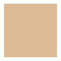 EVA COR ROLO 39X47 (100) BEGE
