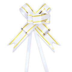 Laco Facil C/10 2,3x44cm (720)