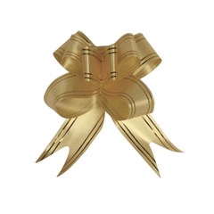 Laco Facil C/10 3,0x50cm (432)