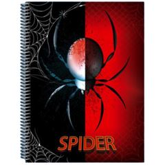 CADERNO CD X-SPIDER 1X1 96F 251