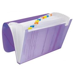 Pasta Sanf A4 Acp 12dv 1027 Lilas